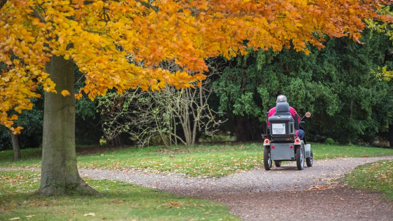 A visitor on a tramper enjoying the autumn scenery